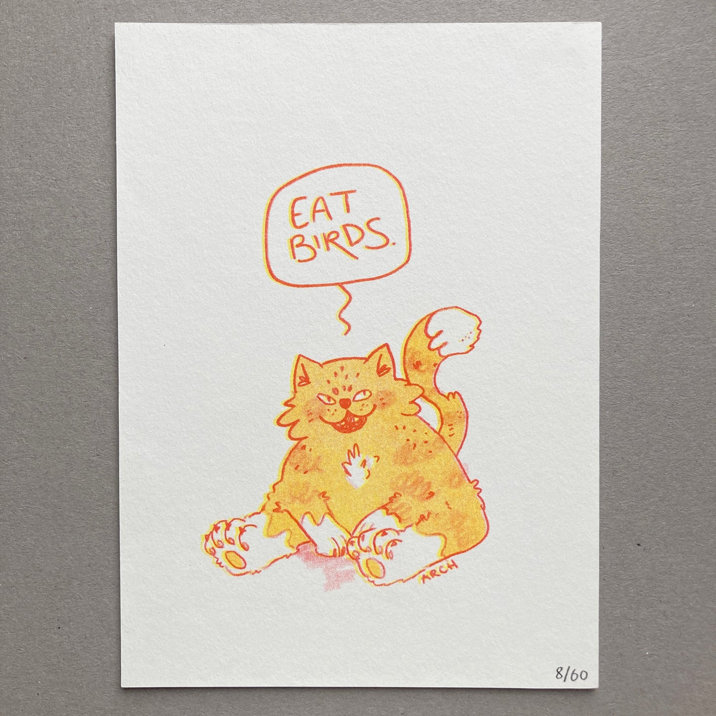 Eat Birds | A5 Cat Risograph Print